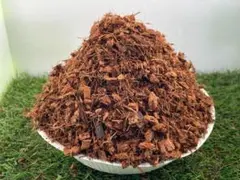 Item thumbnail for item 6ca74e3d-a56e-4292-a430-6571d034d9f3