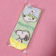 Item thumbnail for item e36e6dd5-1bfe-45d4-a1f5-1ac8c7d05ea1