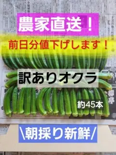 【前日収穫分値下げ】訳ありオクラ ４５本前後 産地直送 新鮮 　鹿児島指宿産のサムネイル