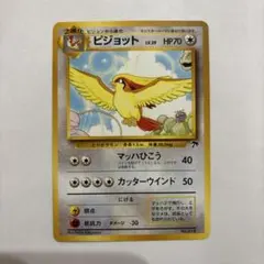 旧裏　ピジョット　サザンアイランド