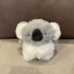 Item thumbnail for item 7dd11fb0-bcad-42b1-bd46-0ae8f8fef9d4