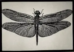 Item thumbnail for item f5e5a153-4035-4ebc-a7e4-b3ccd7323d82