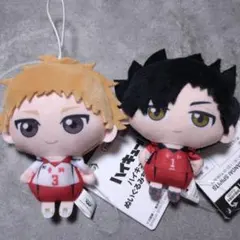ハイキュー!! 黒尾鉄朗 孤爪研磨 かぷっこふれんず - メルカリ