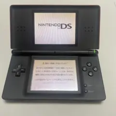 C*房様 Nintendo DS lite クリムゾンブラック