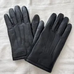 Item thumbnail for item e27dec83-e508-483a-948b-84a11ff52af8