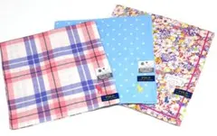 Item thumbnail for item ee228344-d1c2-486d-884f-7f2df9ba0c7e