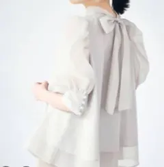 ハーフスリーブオーガンジーブラウス snidel