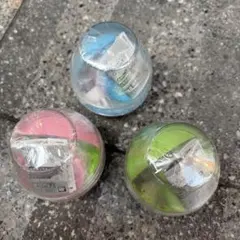 たまごっち　カプセリウム　ガチャ　３種類　コンプ　まめっち　めめっち　くちぱっち