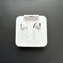 新品未使用 Apple 純正 ライトニング 有線イヤホン iphoneA1748