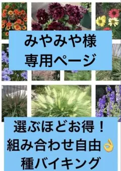種　メリニス　チョコラータ　ぺニセタム　ブラキトリカ　パニカム　他　全10種