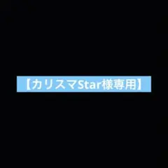【カリスマStar様専用】 商品交換　フィギュア