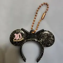 ディズニー 40周年 キーホルダー