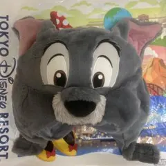 トランプ　ファンキャップ