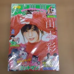 貴重】山本彩 SY 写真集 生写真2枚付き+ ヤングジャンプ付録DVD80分
