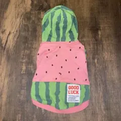 Item thumbnail for item 1e01f0a1-216e-45a4-858a-fc3a0c59bd92