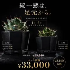 R-BASE 4号10個セット HexaPot専用設計 受け皿 アガベ 塊根植物 限定セット】HexaPot 4号・5号×各10鉢 + R-BASE 各10枚 - メルカリ