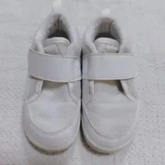 アシックス　すくすく　上履き　16cm