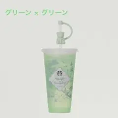 スタバ ミステリーカラーチェンジングリユーザブルコールドカップ べアリスタ 緑