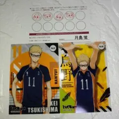 ハイキュー！！　月島蛍　カード　ステッカー　　19枚