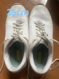 Item thumbnail for item 7416db82-973b-456a-bdf1-e649c330c83f