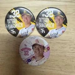 福岡ソフトバンクホークス 缶バッジ まとめ売り 柳町達 32