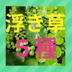 ラグ様 リクエスト 2点 まとめ商品