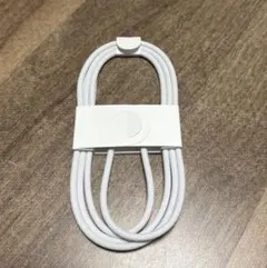 【純正】Apple 編み込み式C to Cケーブル