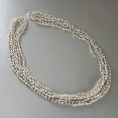 フラダンス　レイ　シェル　3連