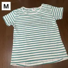 ストライプ 半袖Tシャツ　緑　色　レディース　M ２サイズ　アーノルドパーマーのサムネイル