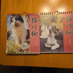 Item thumbnail for item 489d52b9-3af6-4cfa-9f07-8be41eba9ece