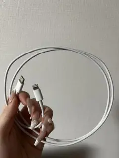 USB-C to Lightning 充電ケーブル
