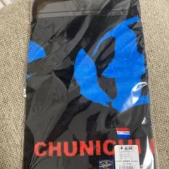 Item thumbnail for item 794b2300-d04f-4703-8067-c890ff015cba