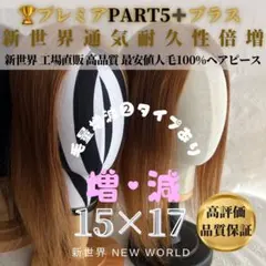 新品未使用 カットウィッグ カットマネキン 国家試験 レジーナ LC-60