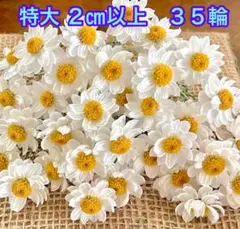 Bell Flower様 リクエスト 2点 まとめ商品