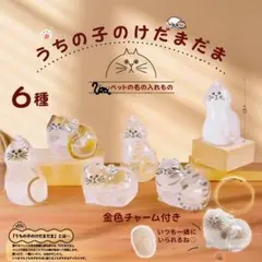 Item thumbnail for item 15a75bfe-425d-40e9-8a99-a34797206d72