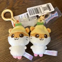 サンリオキャラクターズ　キャラクター大賞　2026 コロコロクリリン　２体セット