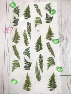 リアルな葉っぱ柄☆切売りoppテープ（J57）