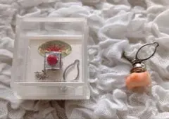 値下　本珊瑚 　赤珊瑚（タイピンケース付)とピンク珊瑚の2個セット