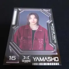 BATTLE OF TOKYO THE RAMPAGE 山本彰吾 フォトカード