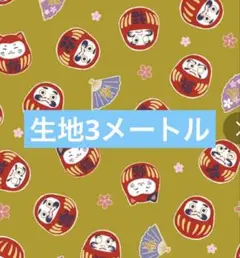 生地　3メートル　同封不可