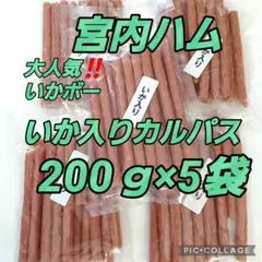 宮内ハムさんのいか入りカルパス いかボー200g✖️5袋のサムネイル
