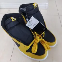 未使用 27.5cm NIKE Air Jordan 1 Pollen