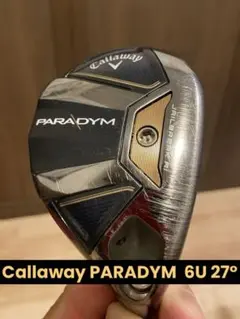 2025年最新】 パラダイム ユーティリティ ヘッドのみの人気アイテム