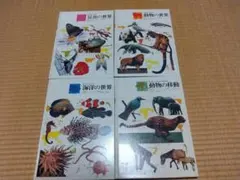 Item thumbnail for item 4c1f9b02-bcff-4ecd-b9f4-a609f27e847b