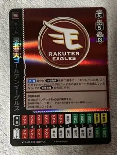 ドリームオーダー　楽天イーグルス　チームカード