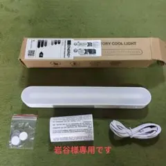 ENERGY COOL LIGHT ホワイト LEDライト