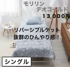 最新モデル モリリン 洗えるダウンケット シングル2枚組セット ☆新品