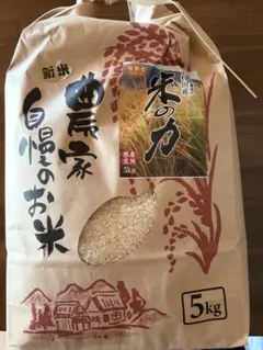 令和7年栃木県産コシヒカリ4.8kg - メルカリ