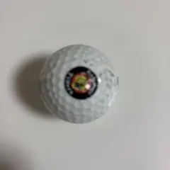 Item thumbnail for item 9aa2f309-dfb5-4590-89d4-2d455fbe686e