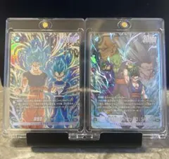 2nd COMPLETE CARD COLLECTION 付録カード2枚